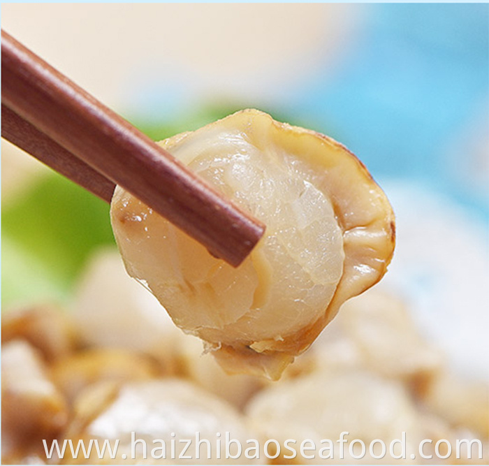 Scallop Meat